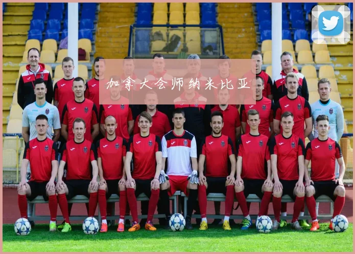 加拿大会师纳米比亚