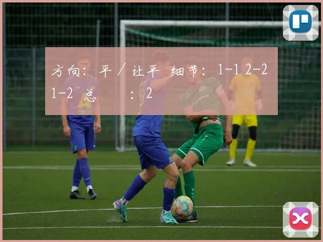 方向：平／让平  细节：1-1 2-2 1-2  总⚽️：2