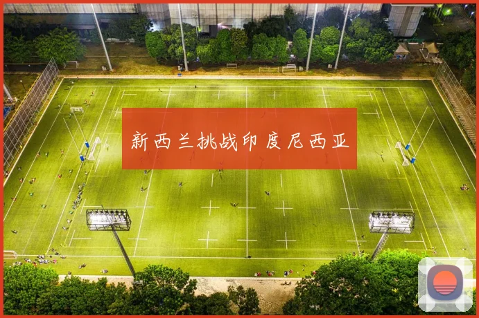 新西兰挑战印度尼西亚