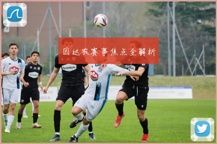 因达农赛事焦点全解析