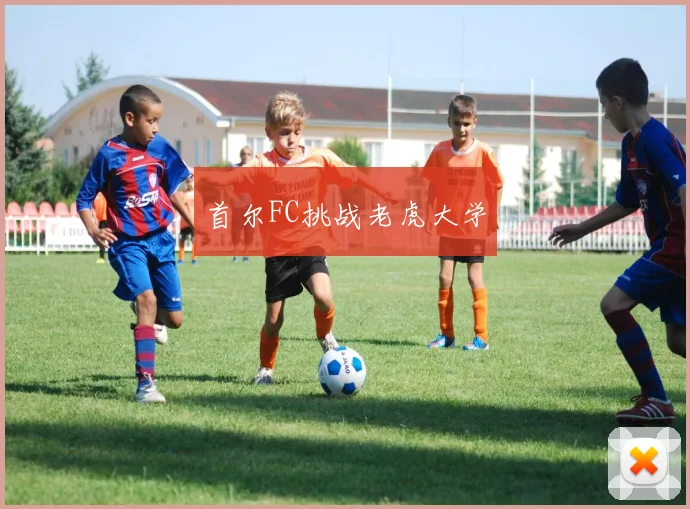 首尔FC挑战老虎大学