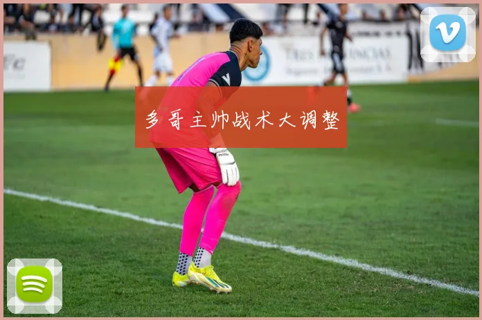 多哥主帅战术大调整