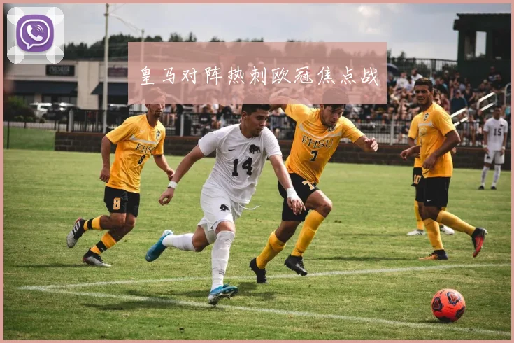 皇马对阵热刺欧冠焦点战