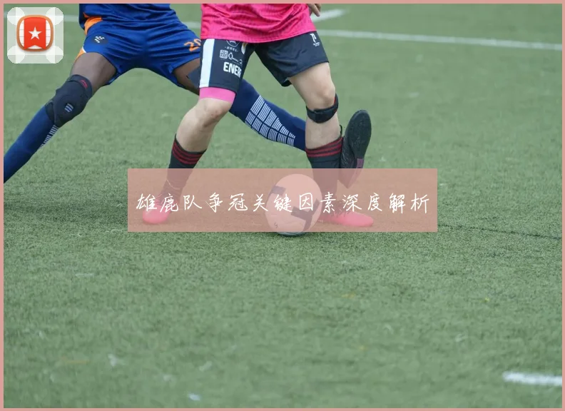雄鹿队争冠关键因素深度解析