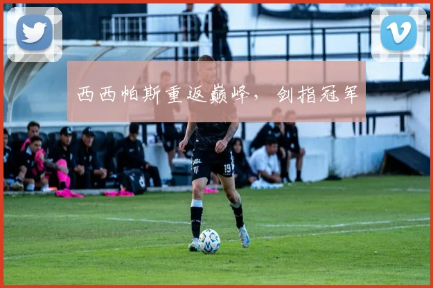 西西帕斯重返巅峰，剑指冠军