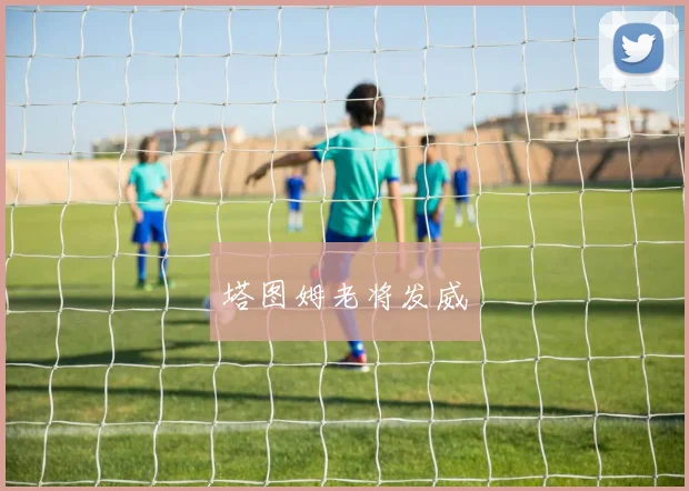 塔图姆老将发威