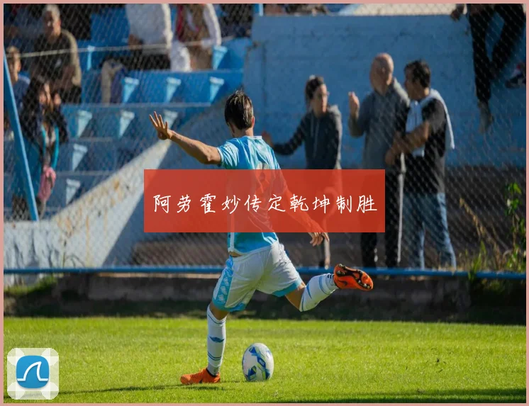 阿劳霍妙传定乾坤制胜