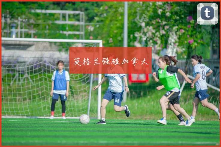 英格兰强碰加拿大