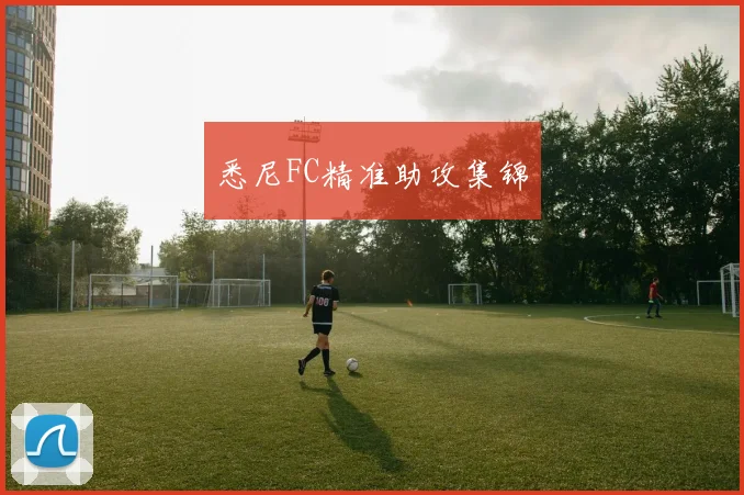 悉尼FC精准助攻集锦