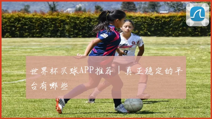 世界杯买球APP推荐｜真正稳定的平台有哪些