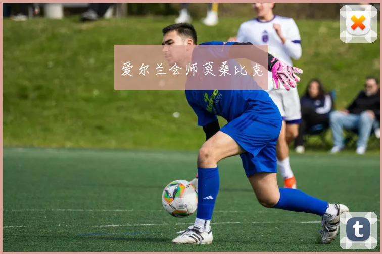 爱尔兰会师莫桑比克