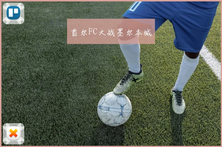 首尔FC大战墨尔本城
