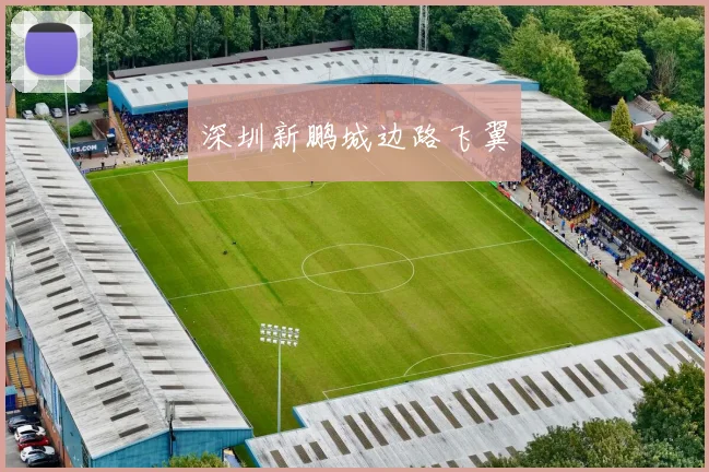 深圳新鹏城边路飞翼