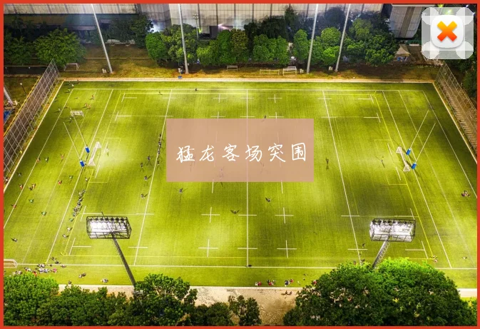 猛龙客场突围