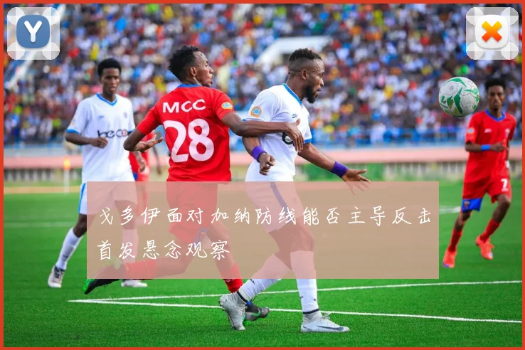 戈多伊面对加纳防线能否主导反击首发悬念观察