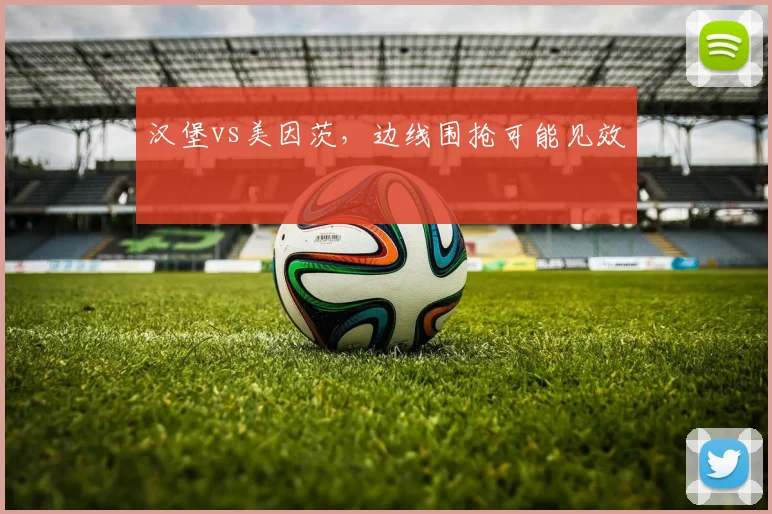 汉堡vs美因茨，边线围抢可能见效