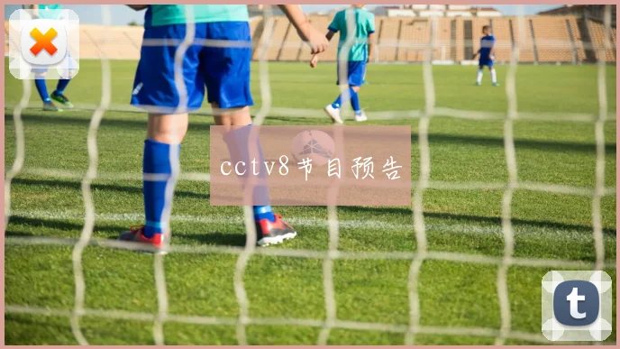 cctv8节目预告
